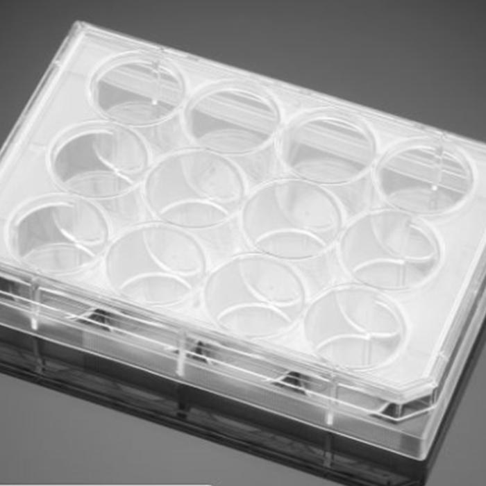 多聚-D-赖氨酸包被的12孔板Poly-D-Lysine 12 Well Clear Flat Bottom TC-Tr…