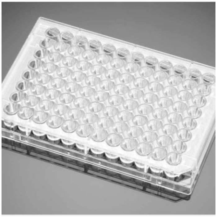 多聚-L-赖氨酸包被的96孔板Poly-L-Lysine 96 Well Clear TC-Treated Flat