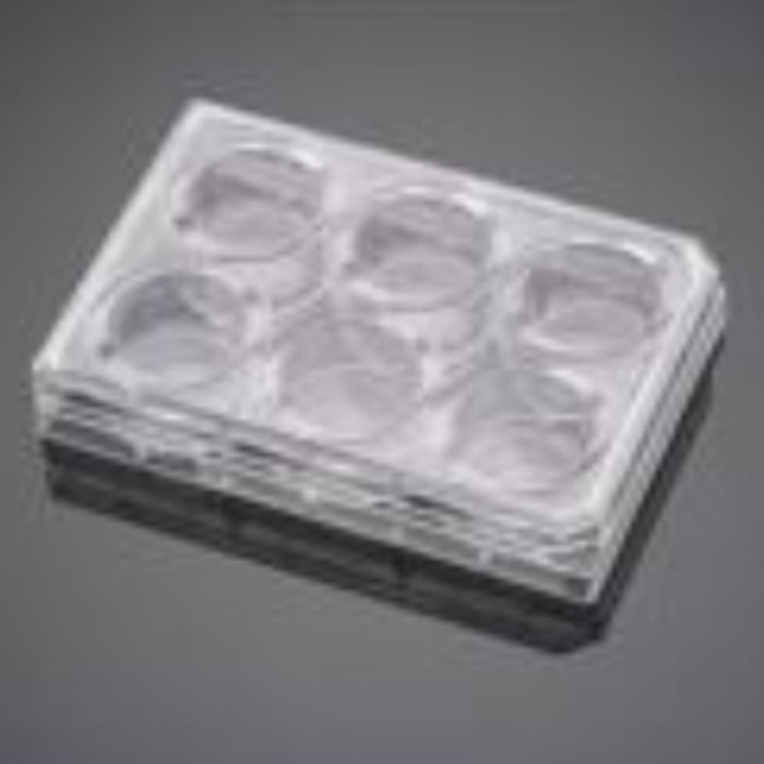 预包被基质胶的6孔板Matrigel Invasion Chamber with 8.0&micro;m Polyest…