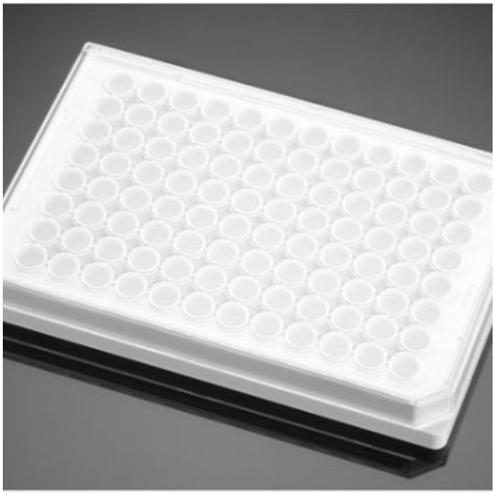 多聚-D-赖氨酸包被的96孔板Poly-D-Lysine 96 Well White/Opaque Flat Botto…