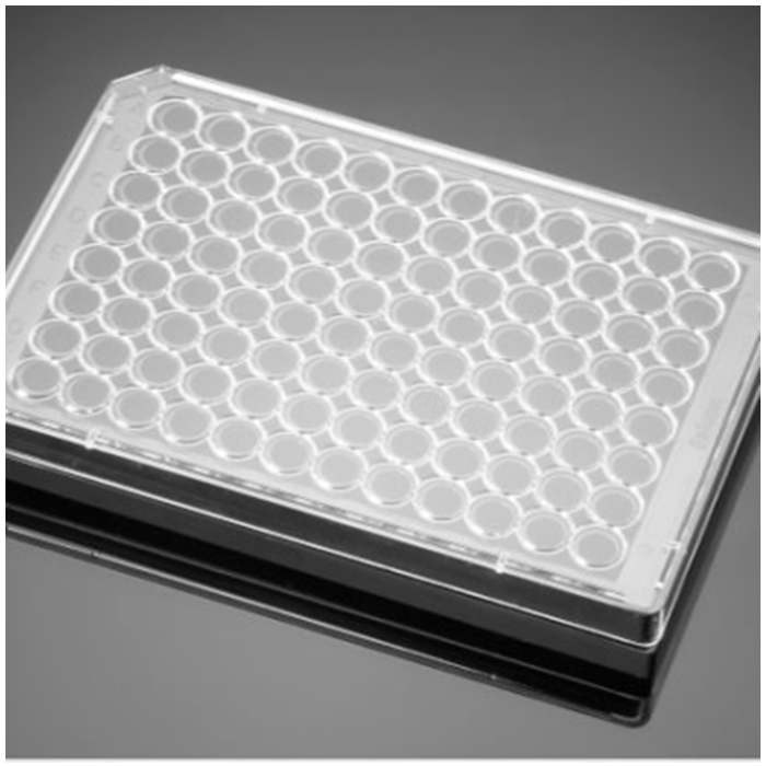 Ⅰ型胶原包被的96孔板Collagen I 96 Well Black/Clear Flat Bottom TC-Tre…