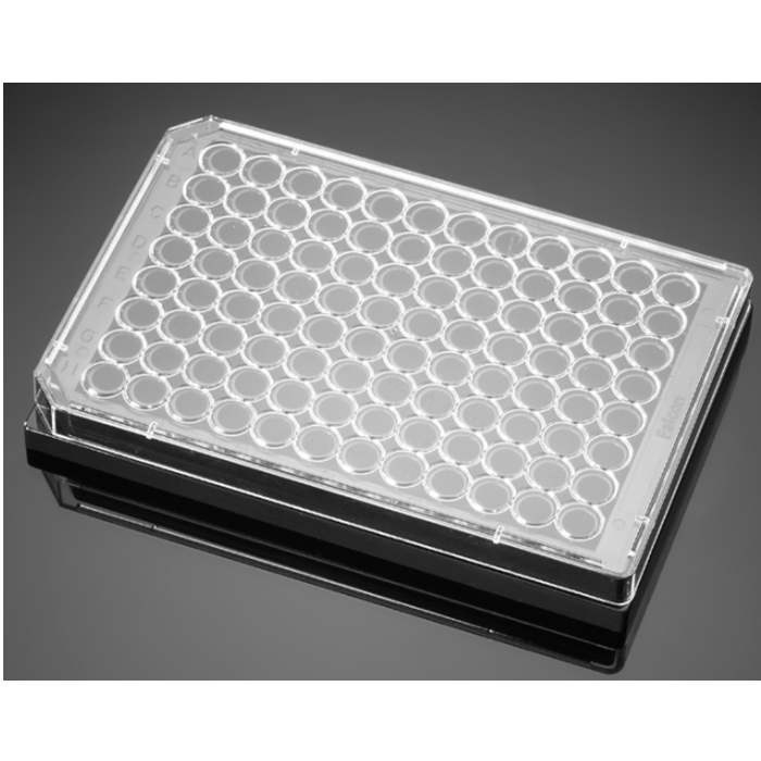 多聚-D-赖氨酸包被的96孔板Poly-D-Lysine 96 Well Black/Clear Flat Bottom…
