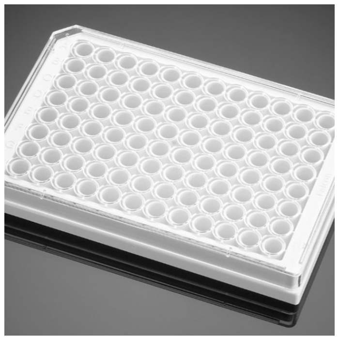 Ⅰ型胶原包被的96孔板Collagen I 96 Well White/Clear Flat Bottom TC-Tre…