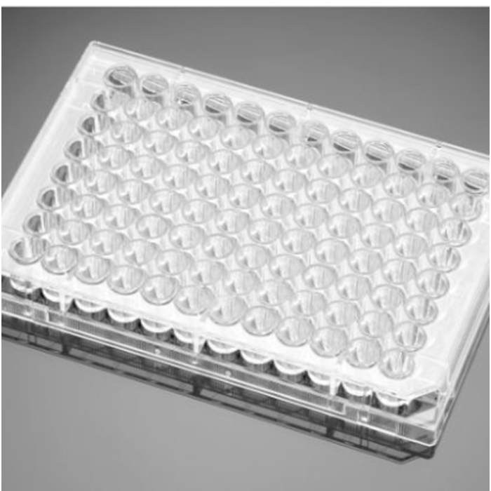 凝胶包被的96孔板Gelatin 96 Well Clear Flat Bottom Microplate with L…