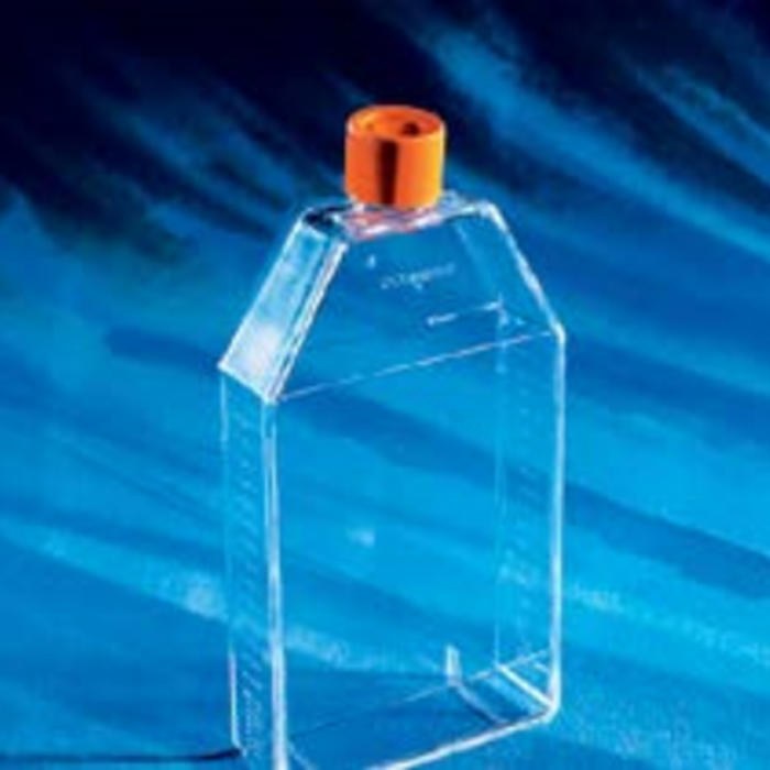 胶原蛋白包被的培养瓶Collagen 150cm2 Rectangular Canted Neck Cell Cultu…