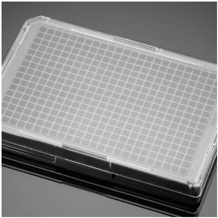 多聚-D-赖氨酸包被的384孔板Poly-D-Lysine 384 Well Black/Clear Flat Bott…