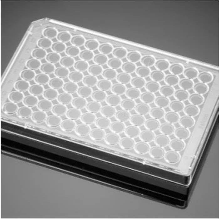 Ⅰ型胶原包被的96孔板Collagen I 96 Well Black/Clear Flat Bottom TC-Tre…