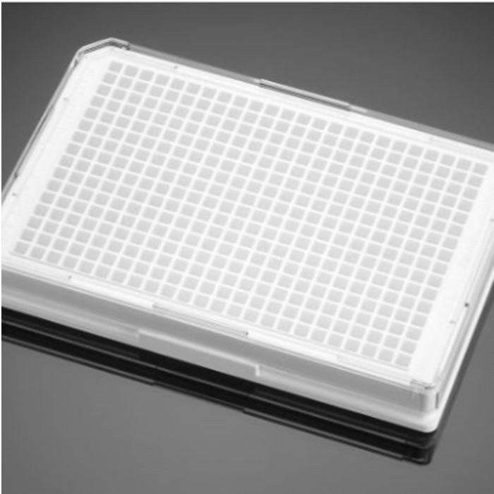 多聚-D-赖氨酸包被的384孔板Poly-D-Lysine 384 Well White Clear Flat Bott…