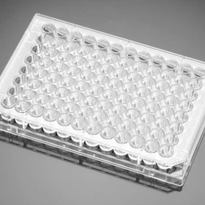 多聚-D-赖氨酸包被的96孔板Poly-D-Lysine 96 Well White/Clear Flat Bottom…