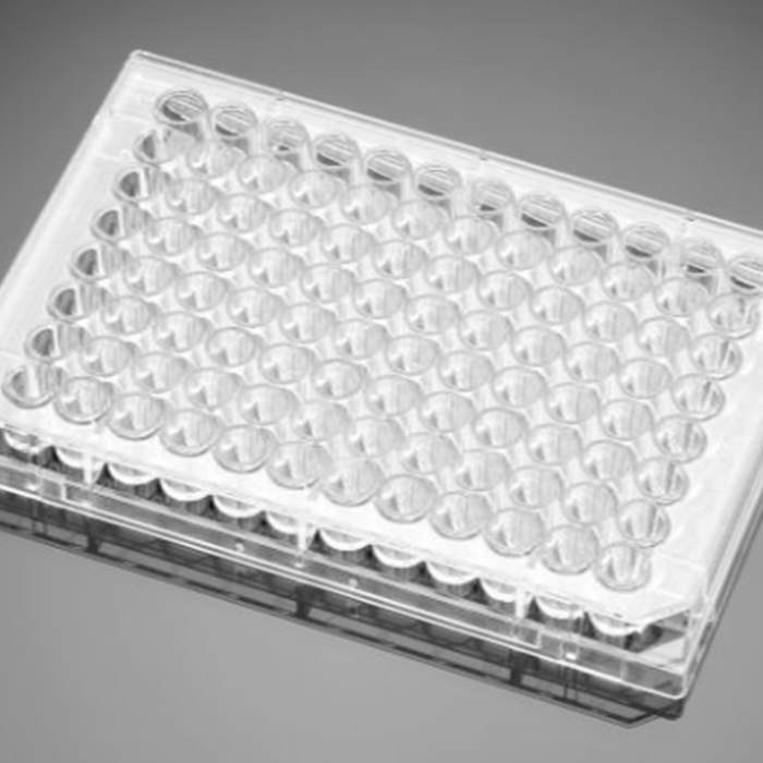 凝胶包被的96孔板Gelatin 96 Well Clear Flat Bottom Assay Plate, with…