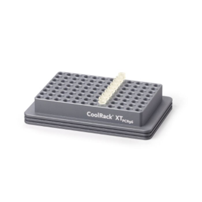 CoolCell CoolRack XT PCR96热传导模块
