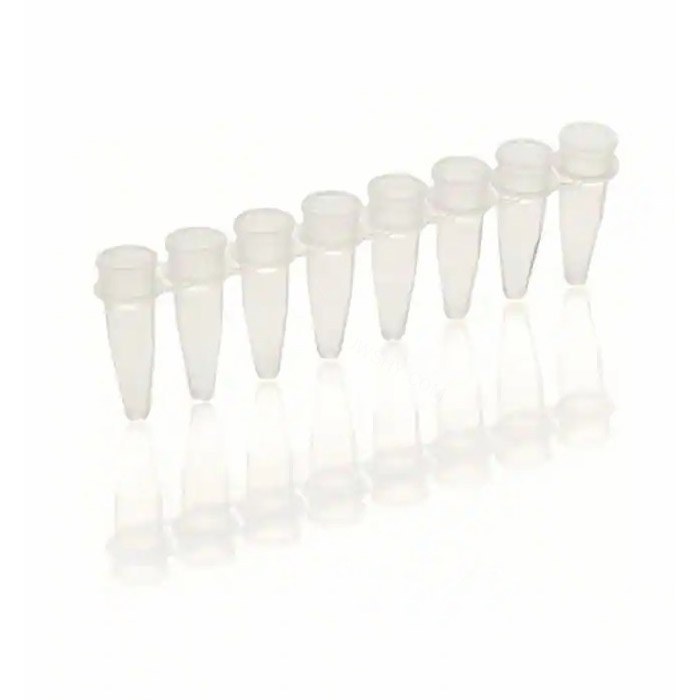 PCR八联管 白色 标准 超透明盖 0.2ml 无DNA、RNA酶 - Thermo Scientific