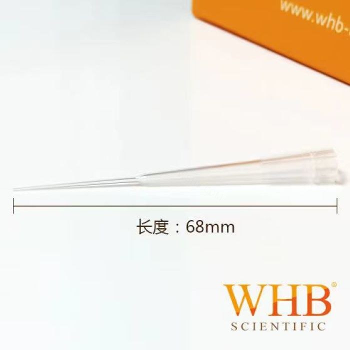 200ul电泳加样吸头，盒装