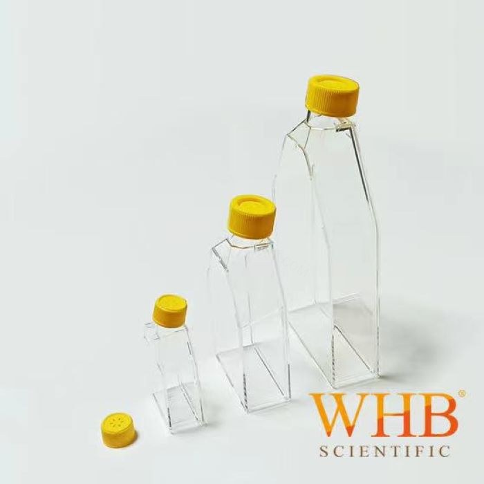 75cm&sup2;培养瓶，250ml，密封盖，TC处理，灭菌