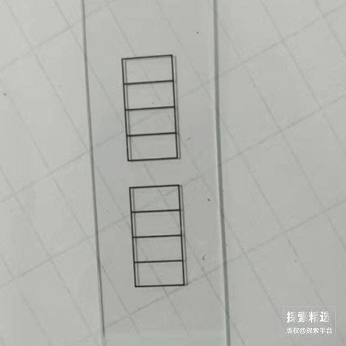 病理级蒙砂载玻片 定制网格款