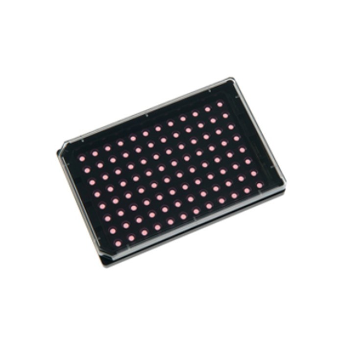 u-Plate96孔血管生成培养板 ibiTreat底部处理 - ibidi/易必迪