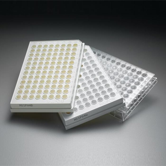 非无菌MultiScreen-HTS-IP过滤板 PVDF 0.45um 白色 - Millipore/密理博