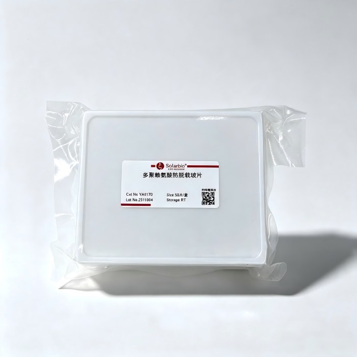 多聚赖氨酸防脱载玻片，尺寸：25*75mm