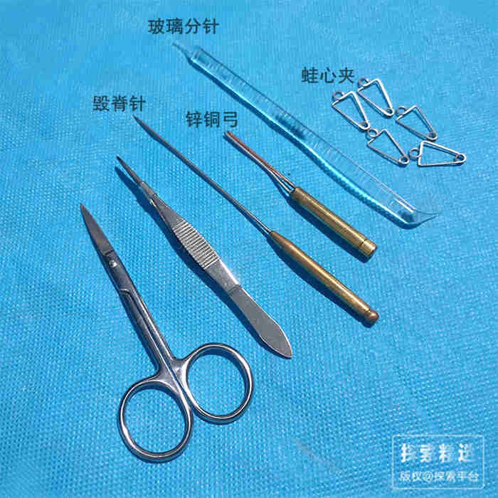 玻璃分针 7.2&times;148mm
