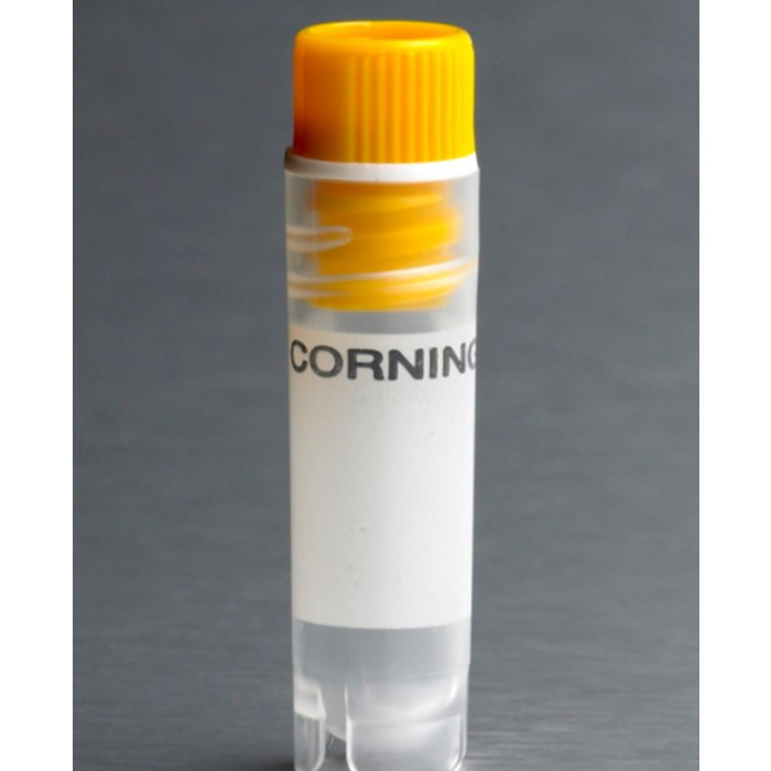 Corning 2 mL黄色盖内旋聚丙烯冻存管，自立式，圆底 - Corning/康宁