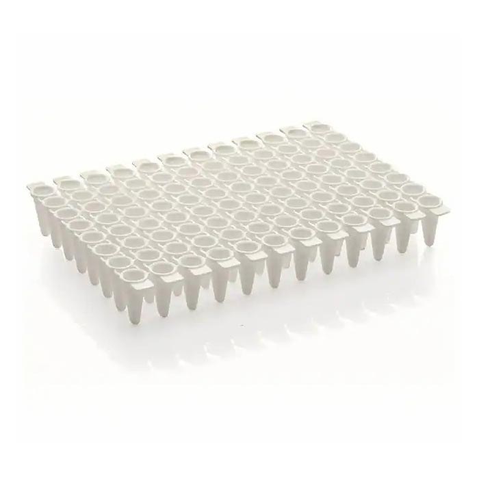 VersiPlate PCR联排管板 96孔 0.2ml 矮型 - Thermo Scientific