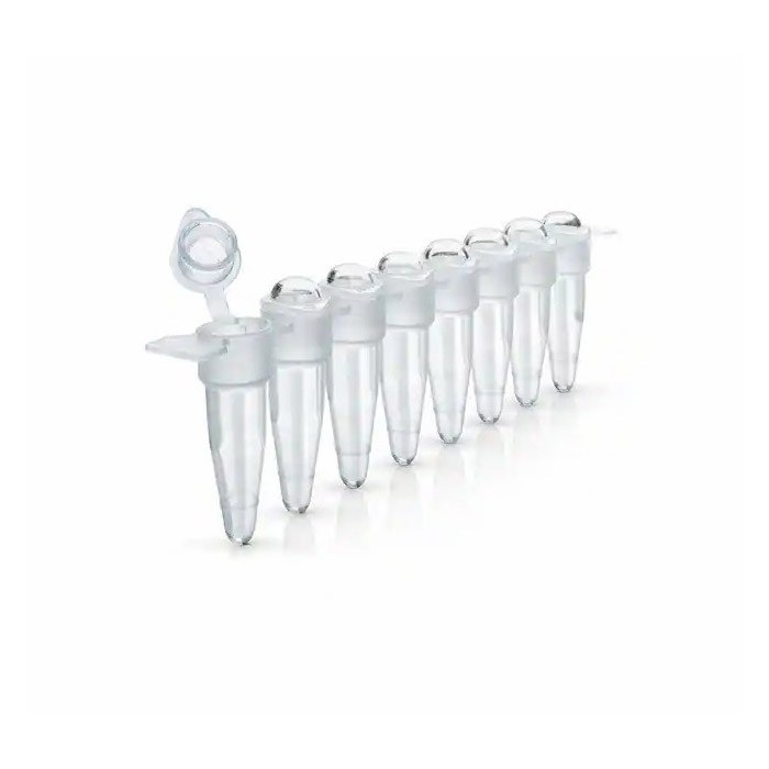 MicroAmp 8联排管 带连接圆顶盖 0.2ml - Thermo Fisher