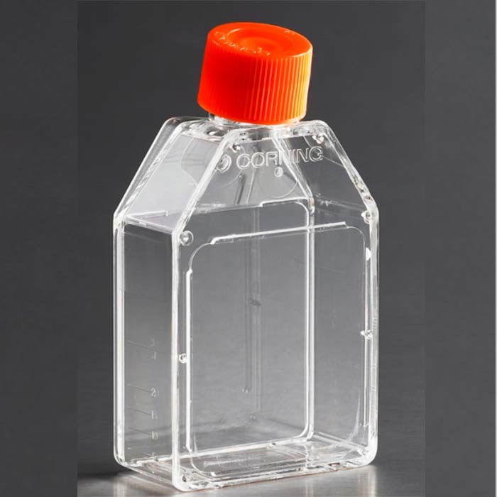 Corning 150cm2/45ml 直角斜颈细胞培养瓶 TC表面 密封盖 灭菌 可替代430823 - Corning
