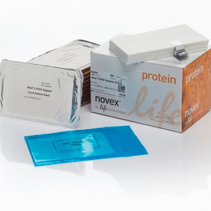 iBlot 2 转印膜组 PVDF 常规尺寸（13cm×8.3cm） - Invitrogen