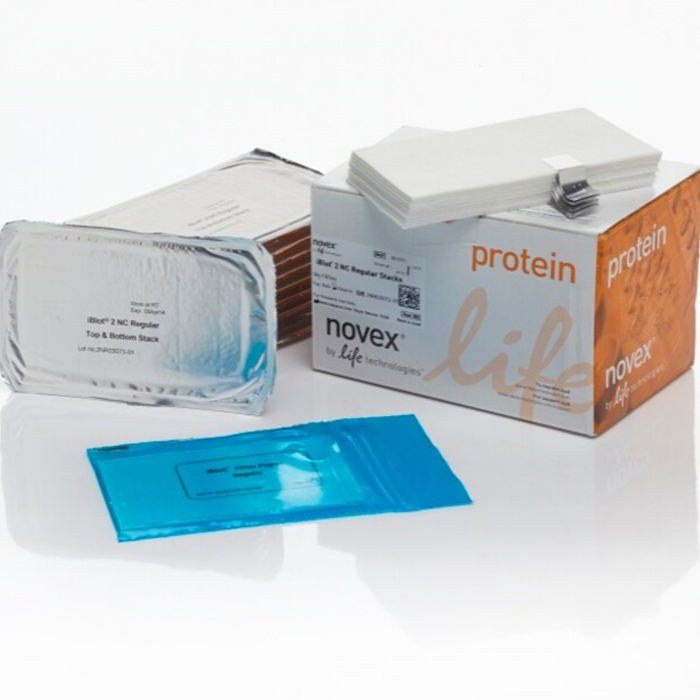 iBlot 2 转印膜组 硝酸纤维素 常规尺寸(13cm×8.3cm) - Invitrogen