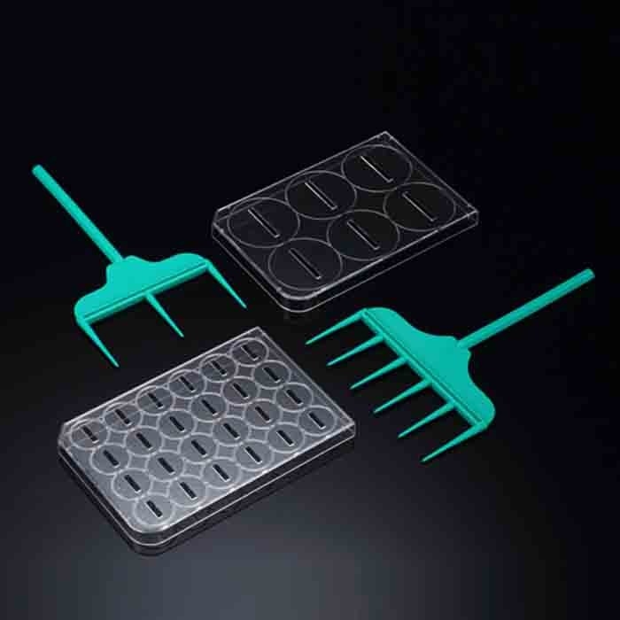 细胞耙 6孔板 耙痕宽0.5mm 无菌 - SPL Life Sciences