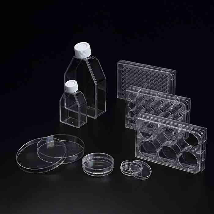 3D细胞培养瓶 透气 PS 25cm2 60ml 无菌 悬浮培养 - SPL Life Sciences