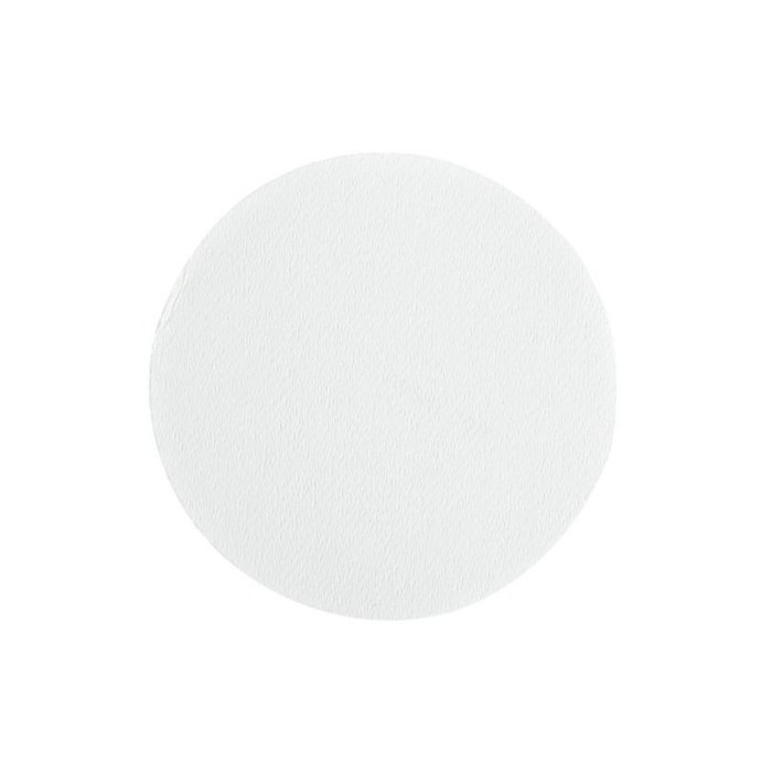 Microsart膜过滤器 PVDF 0.45um