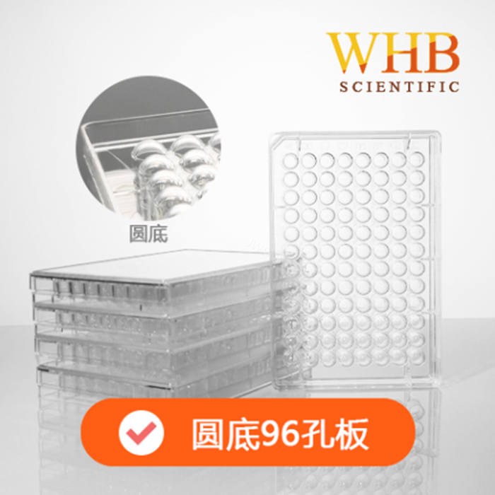 透明96孔培养板 圆底 袋装（微生物培养板） 灭菌 带盖