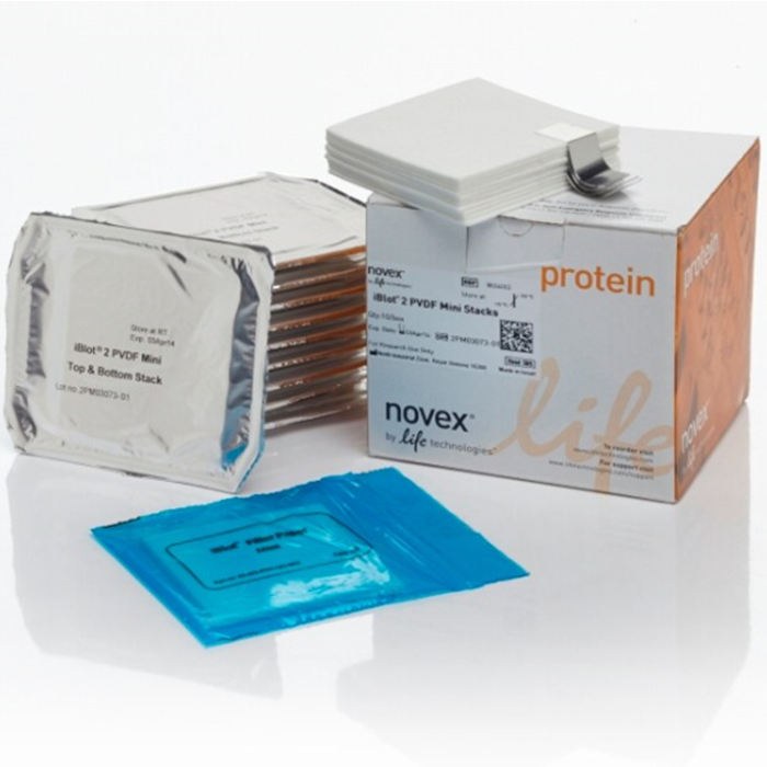 iBlot 2 转印膜组 PVDF 小型（8cm&times;8cm）