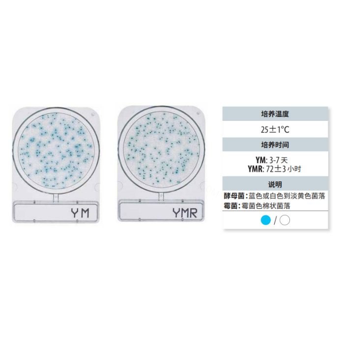 霉菌与酵母测试片