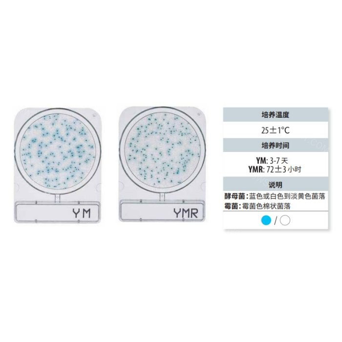 霉菌与酵母测试片
