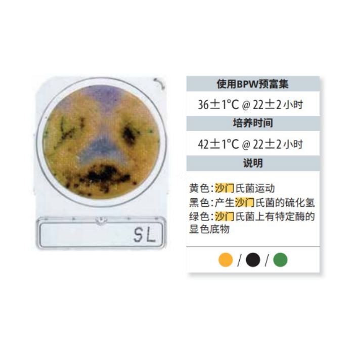 沙门氏菌测试片