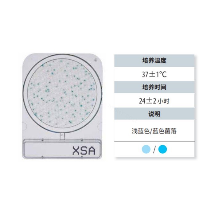 金黄色葡萄球菌测试片