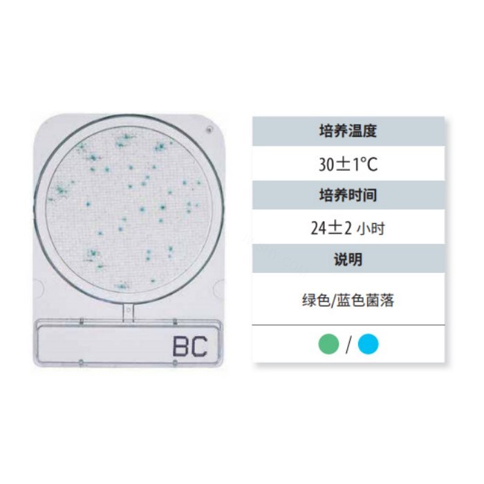 蜡样芽胞杆菌测试片
