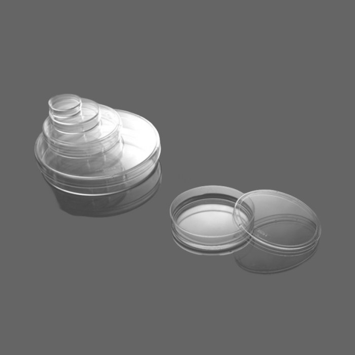 细菌培养皿，65mm，锁扣，灭菌