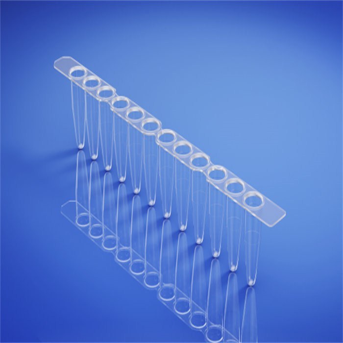 0.2ml PCR12联管 配荧光定量PCR12联管光学透明平盖 PP