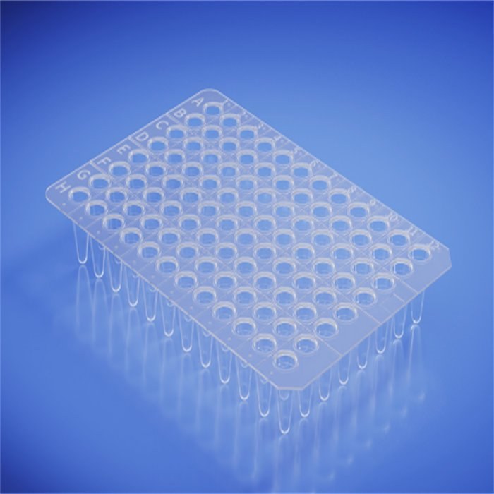 0.1ml 无裙边96孔PCR板 透明 PP