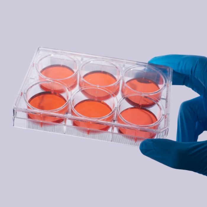 超低吸附表面培养板 6孔 6孔,超低吸附型,表面处理,无DNA/RNA,无热原,灭菌 - JET/洁特