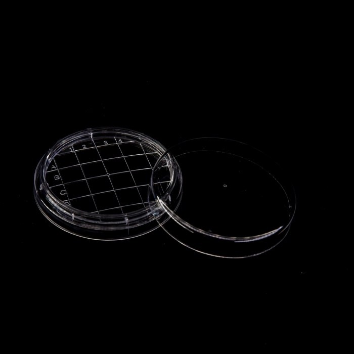 一次性无菌接触皿 5.5cm 凸面 - 环凯微生物/HKM