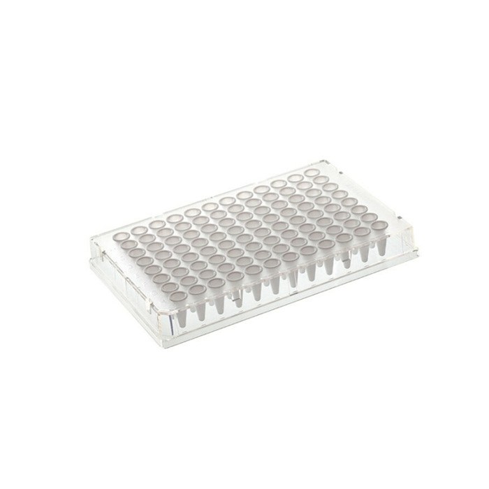 Armadillo PCR板 96孔 0.1ml 透明 全裙边 低容 透明孔 - Thermo Scientific