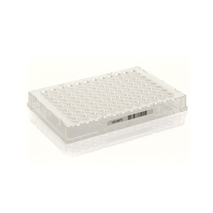 Armadillo PCR板 96孔 0.1ml  全裙边 透明 透明孔 带条形码