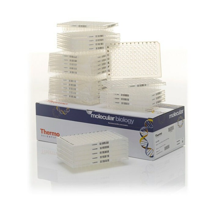 SuperPlate PCR板 96孔 0.2ml 半裙边 透明 平面 带条形码 - Thermo Scientific