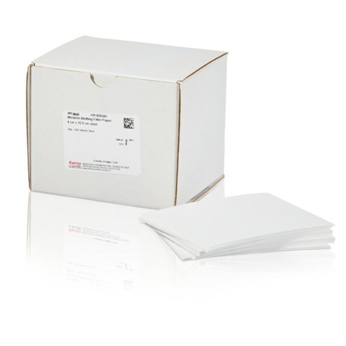蛋白免疫印迹滤纸 厚0.83mm 8cm×10.5cm - Thermo Scientific