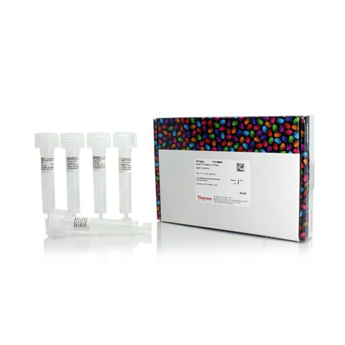 NAb 蛋白A Plus离心柱 1ml - Thermo Scientific