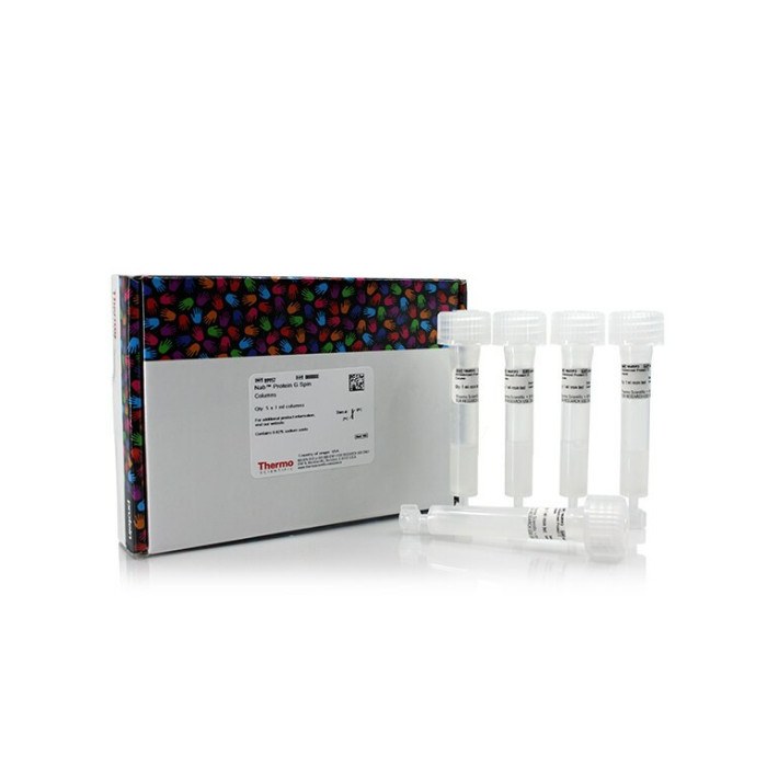 NAb 蛋白G离心柱 1ml - Thermo Scientific